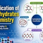 Classification of Carbohydrates in Chemistry showing Monosaccharides, Disaccharides, Oligosaccharides, and Polysaccharides with examples and structure diagram